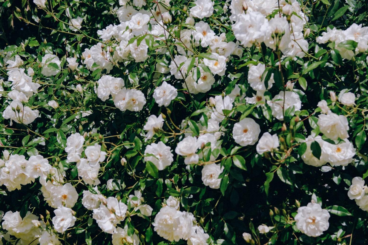 Étudiants travaillant sur leurs projets de jeux dans notre studio de développement